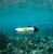 Camoro Mini Professional 4K Underwater Drone Camera ROV Water Scooter Mini Underwater Robot