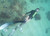 0.5L High Pressure Aluminium Mini Scuba Tank Dive Equipment for Underwater Breath 5-10 Minute Oxygen Cylinder