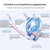 XIAOTREE Dual-Tube Silicone Full-Face Dry Snorkel Mask Adult Swimming Diving Mask Underwater Breathing Mask