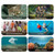 CHASING Dory Explore1080p High Definition Photography 16G Underwater Exploration  Treasure Hunting Camera Rov