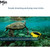 Palm-Sized APP-Controlled Underwater  | Full HD for Exploration & Photo/Video Capture
