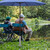 Camping tent frame with ground pegs - a sturdy frame suitable for patio, garden, beach and outdoor use.