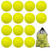 74MM 48-Hole Outdoor Pickleballs Seamless Roto-Molded Design for Durability Pickle Ball for Beginner Intermediate Player 12 Pack