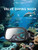 Large Frame Diving Mask with Drain Valve | HD Tempered Glass Lens & Adjustable Silicone Strap,Swim Goggles,buceo, 수영,스노클링,