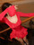 Mozision Flare Sleeve Ruffle Sexy Mini Dress Women Robe Irregular Single-breasted V Neck High Waist Slim A-line Club Dress