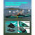 Myboat SUB Waterproof Inflatable Paddle Board 11'6''x35''x6''Adult Standing Style Aquatic Fishing With Accessories SUP сапборд