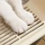 Cat Bedpans Small Size Pet Sandbox for Cat Anti-Splash Cats Toilet Pet Sandbox Kitten Tray Bedpan Cleaning Cat Supplies