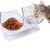 Cat Bowls Pet Feeding Bowl Cat Water Bowl Durable Fall Resistant 15 Degree Tilt Double Cat Food Bowl