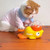 Cat Toys for Self-Entertainment, Teasing Cat Stick, Pet Snacks, Freeze-Dried Little Yellow Duck Launcher, Kitten Treat-Dispensing Toy
