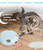 Cat Toys, Interactive Cat Toys for Indoor Cats,  Smart Interactive Kitten Toy, Automatic 7 Holes Mice Whack-A-Mole
