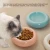 Ceramic cat bowl, pet bowl, cat bowl, donut dispenser, Dudu cat bowl, cat food bowl, spill proof water bowl, snack bowl