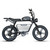 Dynalion 48V 750W 1000W Velo Electrique Retro Dirt Road E Bike Fat Bike Electric Dynalion Ready to Ship Stock Ebike
