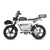 Dynalion 48V 750W 1000W Velo Electrique Retro Dirt Road E Bike Fat Bike Electric Dynalion Ready to Ship Stock Ebike