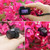 Mini Camera 1080P Pocket DV Outdoor Kids Action Camera With Screen Video Recorder Portable Body Cam Micro Camcorder