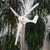 300W Hybrid Street Light System with 12V 24V Horizontal Axis Wind Turbine Generator Wind Solar Generators