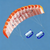 140cm dual line power kites for adults kites string line beach windsurfing trilobite kite wooden kite reel games Parachute koi