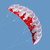 Dual Line power kites sport parachute stunt kites outdoor toys beach kite board wind kites parafoil kitesurfing traction kites