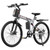 Varun M26-3 Pro Adult Electric Bike, 750W Peak Power Electric Road Bicycle, 48V 7.8Ah Battery, 26" MTB Mountain Ebike, 20MPH