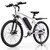 VIPDRIVE Defier 1.1 Adult Electric Bike, 750W Peak Motor, Electric Road Bicycle, 48V 7.8Ah Fatbike, 26", 20MPH Mountain Ebike
