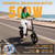 14'' Electric Bike for Adults, 500W Motor, 20 MPH Max Speed Folding Ebike, Max 30 Miles Range (Pedal Assist Mode), Dual Braking System,265lbs limted load,Mini E Bikes