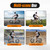 20-Inch Folding Bike, 7 Speed Foldable Bicycle for Adults – Easy Fold & Carry, Dual Disc Brakes, High Carbon Steel Frame, Front & Rear Fenders – Perfect for Commuting, Travel, Campus, Park Riding