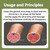 Essential Oil for Men