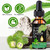 Black Castor Oil Healthy-looking Skin Anda Nourished Spirit Start with Intentional Rituals Inspired by Nature
