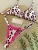 2024 brazilian bikini women suit, beach fashion, sexy thong swimsuit, cute cherry print