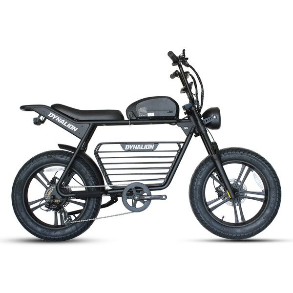 Dynalion 48V 750W 1000W Velo Electrique Retro Dirt Road E Bike Fat Bike Electric Dynalion Ready to Ship Stock Ebike