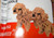 Toy Poodle 2 Nanoblock