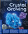 Crystal Growing Spark Experiment Kit