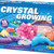 Crystal Growing Experiments and Crafts Kit