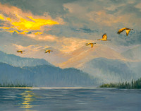 Fred Choate "Sheer Grace"