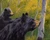 Fred Choate "Bee Bears"
