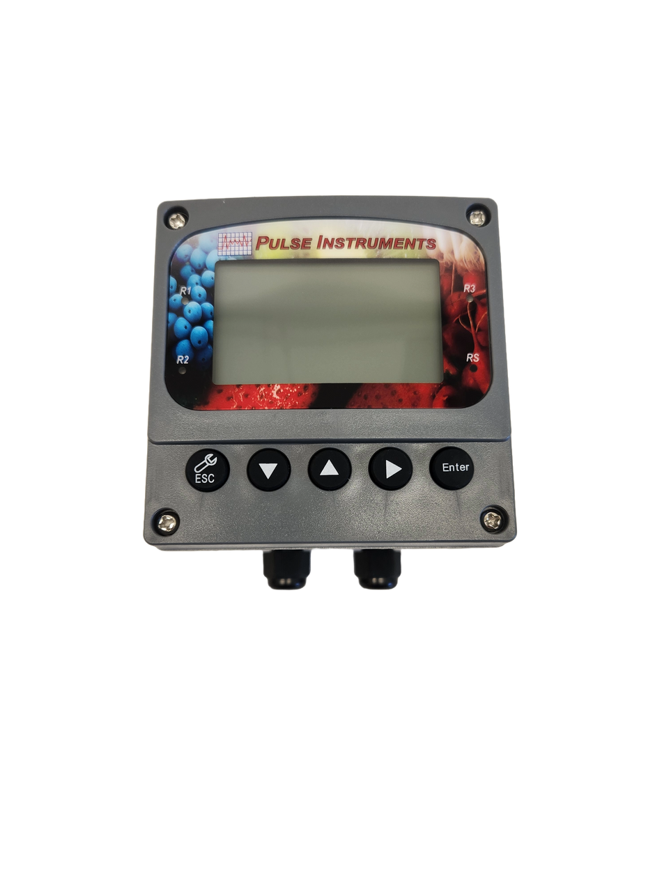 PI1000S