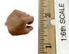 Order of the Sacrter Garter - Left Bare Gripping Hand