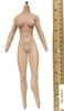 DC Comics: Harley Quinn 2.0 - Nude Body (Metal Endoskeleton)