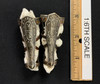 Ra: The God of the Sun (Silver Version) - Leg Armor w/ Cloth Linings