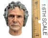Lord of the Rings: Bilbo Baggins (Older Version) - Head (Relaxed) (Molded Neck)
