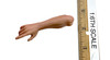 Kenshi - Right Bare Pointing Arm