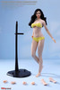 Super Flexible Female Seamless Body (PLMB2022-S48) (Medium Bust - Pale) - Boxed Figure