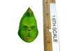 The Grinch (Deluxe Edition) - Head (Serious Expression) (No Neck Joint)