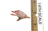 Beetlejuice 2.0 - Right Bare Posed Hand