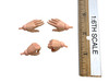 Masters of the Universe: Teela - Hand Set (4)