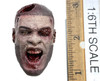 The Bitten: Ricardo - Head (Zombie) (No Neck Joint)