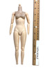Pink Pterosaur - Nude Body (AS-IS See Note)
