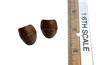 Vaultie Girl - Knee Armor