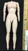 Star Trek: The Next Generation: Dr. Beverly Crusher - Nude Body