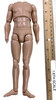 US Army 7th Cavalry Regiment 1876 “Captain Nathan” - Nude Body w/ Feet