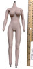 SW Toys: Valentine 2.0 - Nude Body (Clean) (Metal Endoskeleton)